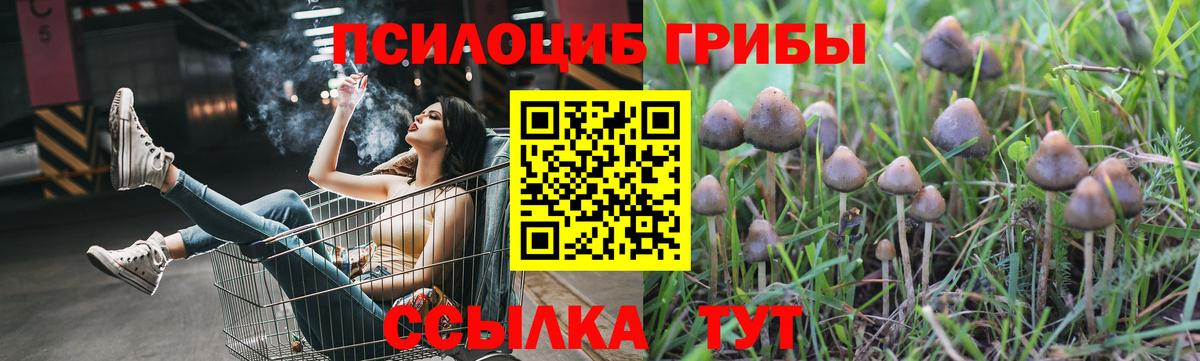 Псилоцибиновые грибы ЛСД  Вход с VPN  как найти закладки  Усть-Илимск 